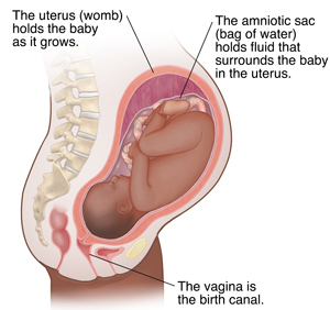 Side view showing pregnancy at 9 months.